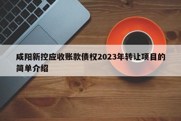 咸阳新控应收账款债权2023年转让项目的简单介绍