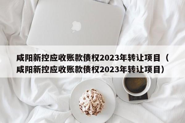 咸阳新控应收账款债权2023年转让项目（咸阳新控应收账款债权2023年转让项目）