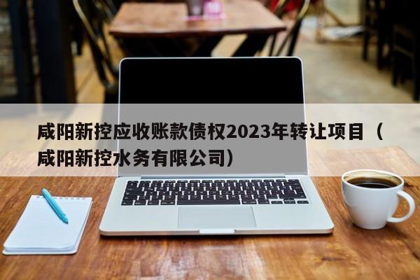 咸阳新控应收账款债权2023年转让项目（咸阳新控水务有限公司）