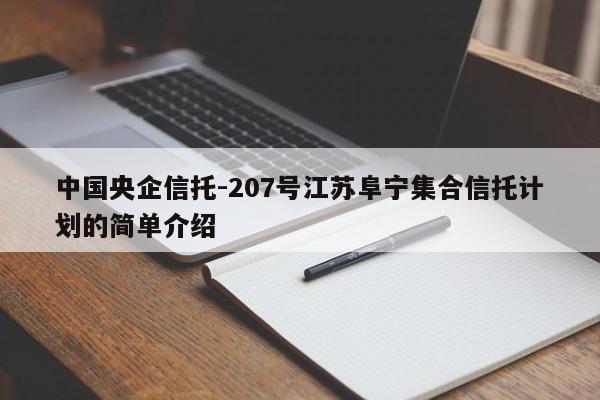 中国央企信托-207号江苏阜宁集合信托计划的简单介绍