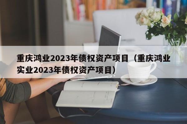 重庆鸿业2023年债权资产项目（重庆鸿业实业2023年债权资产项目）