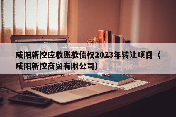 咸阳新控应收账款债权2023年转让项目（咸阳新控商贸有限公司）