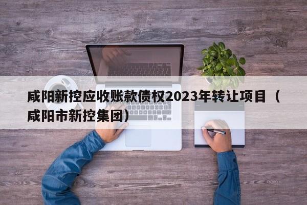咸阳新控应收账款债权2023年转让项目（咸阳市新控集团）