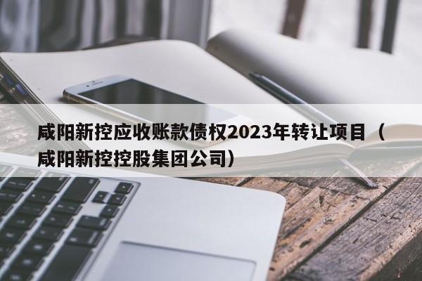 咸阳新控应收账款债权2023年转让项目（咸阳新控控股集团公司）
