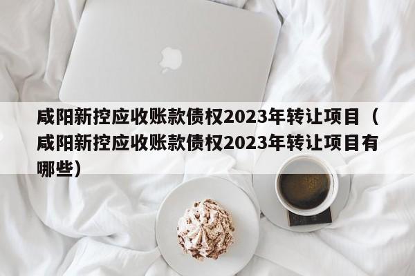 咸阳新控应收账款债权2023年转让项目（咸阳新控应收账款债权2023年转让项目有哪些）
