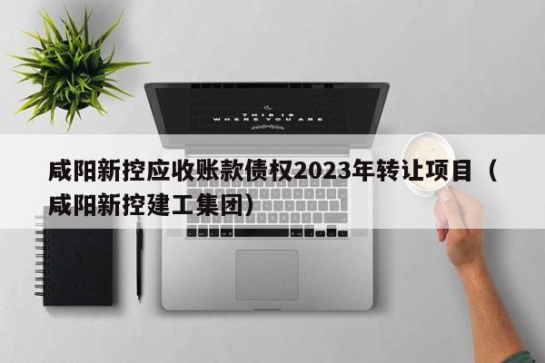 咸阳新控应收账款债权2023年转让项目（咸阳新控建工集团）
