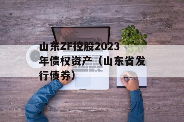 山东ZF控股2023年债权资产（山东省发行债券）