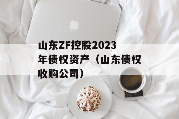 山东ZF控股2023年债权资产（山东债权收购公司）