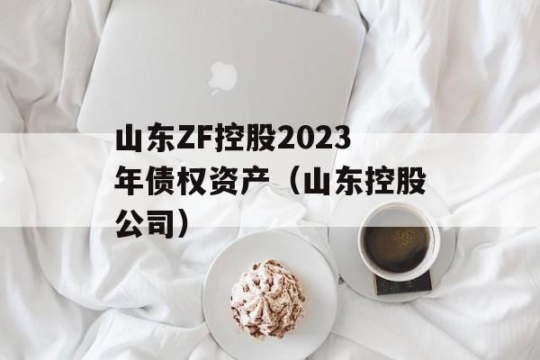 山东ZF控股2023年债权资产（山东控股公司）