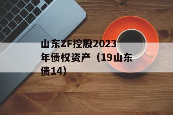 山东ZF控股2023年债权资产（19山东债14）
