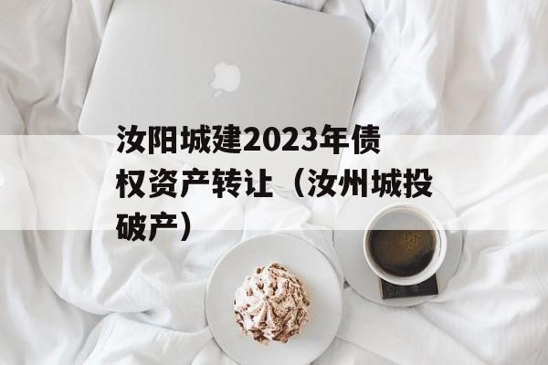 汝阳城建2023年债权资产转让（汝州城投破产）