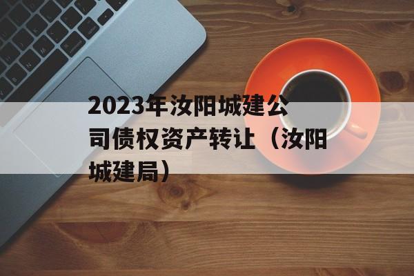 2023年汝阳城建公司债权资产转让（汝阳城建局）