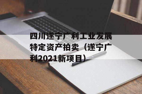 四川遂宁广利工业发展特定资产拍卖（遂宁广利2021新项目）
