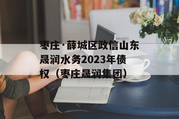 枣庄·薛城区政信山东晟润水务2023年债权（枣庄晟润集团）