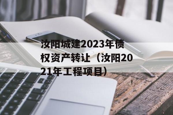 汝阳城建2023年债权资产转让（汝阳2021年工程项目）