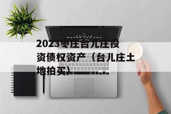 2023枣庄台儿庄投资债权资产（台儿庄土地拍买）
