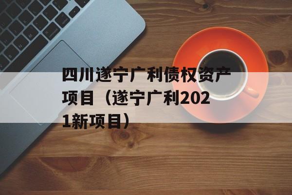 四川遂宁广利债权资产项目（遂宁广利2021新项目）
