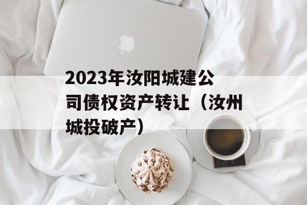 2023年汝阳城建公司债权资产转让（汝州城投破产）