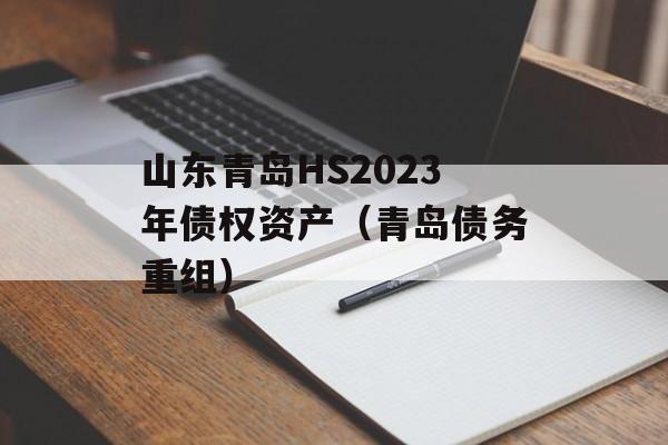 山东青岛HS2023年债权资产（青岛债务重组）