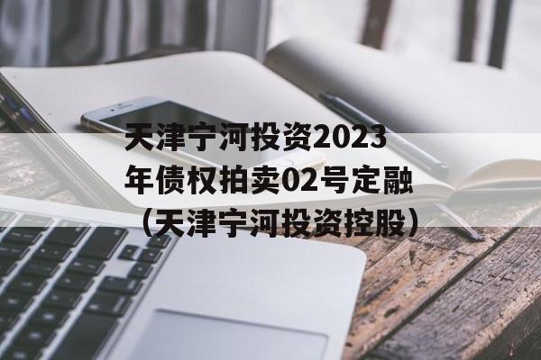 天津宁河投资2023年债权拍卖02号定融（天津宁河投资控股）