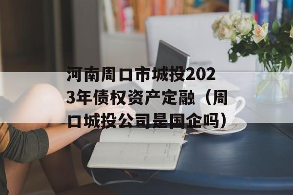 河南周口市城投2023年债权资产定融（周口城投公司是国企吗）