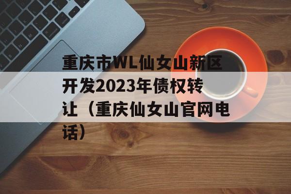 重庆市WL仙女山新区开发2023年债权转让（重庆仙女山官网电话）