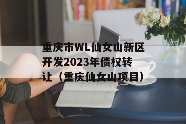 重庆市WL仙女山新区开发2023年债权转让（重庆仙女山项目）