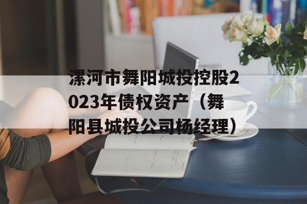 漯河市舞阳城投控股2023年债权资产（舞阳县城投公司杨经理）