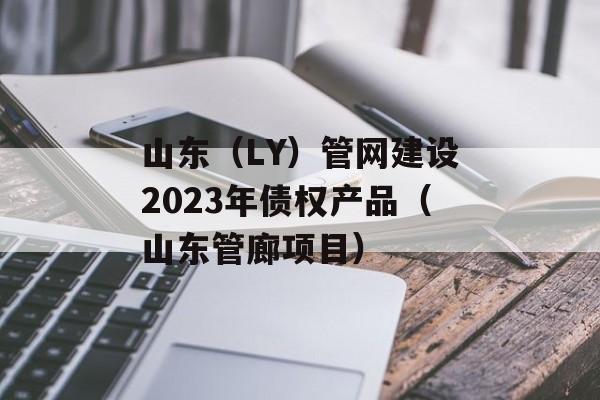 山东（LY）管网建设2023年债权产品（山东管廊项目）