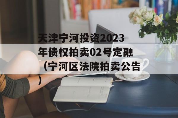 天津宁河投资2023年债权拍卖02号定融（宁河区法院拍卖公告）