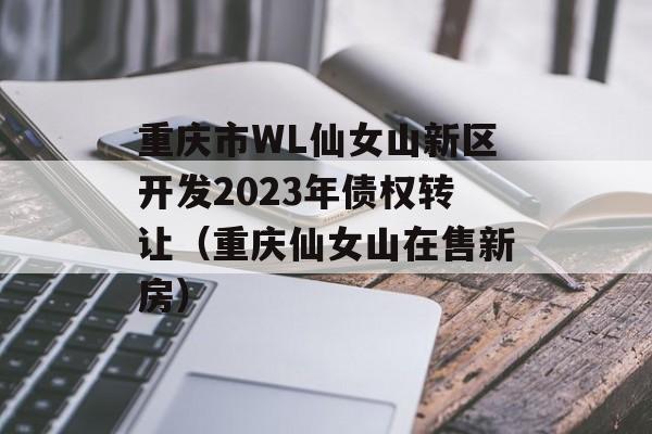 重庆市WL仙女山新区开发2023年债权转让（重庆仙女山在售新房）