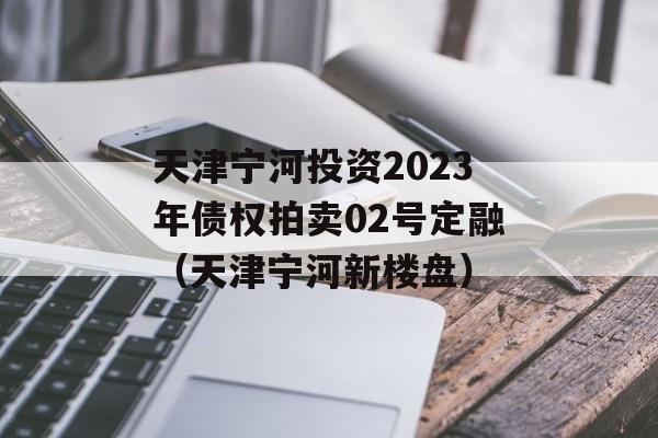 天津宁河投资2023年债权拍卖02号定融（天津宁河新楼盘）
