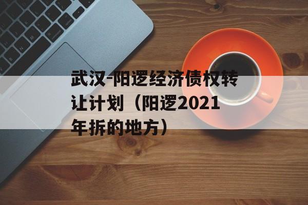 武汉-阳逻经济债权转让计划（阳逻2021年拆的地方）