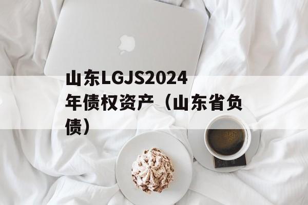 山东LGJS2024年债权资产（山东省负债）