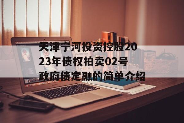 天津宁河投资控股2023年债权拍卖02号政府债定融的简单介绍