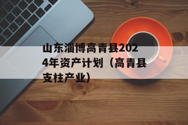山东淄博高青县2024年资产计划（高青县支柱产业）