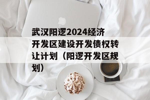 武汉阳逻2024经济开发区建设开发债权转让计划（阳逻开发区规划）